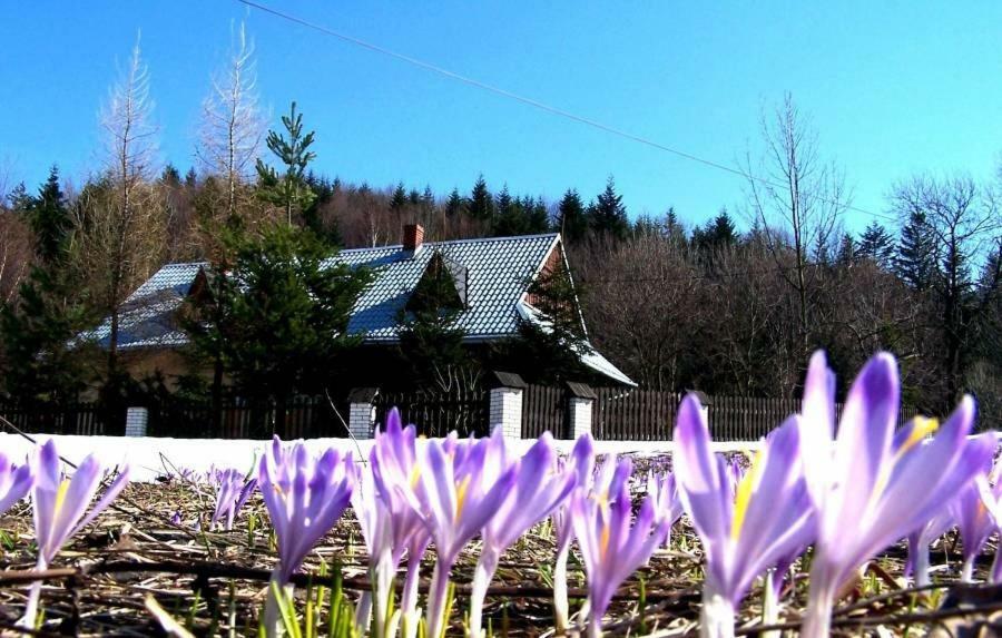 Goralska Czarcia Chata Pod Jalowcem Stryszawa Ngoại thất bức ảnh